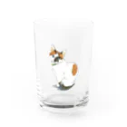 やまねくんの三毛猫　ねこ Water Glass :front