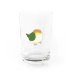 しょんぼりざうるすのえらいんこ Water Glass :front