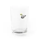 るい＠自然科学グッズのTERASHITE Water Glass :front