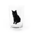 黒猫のふくちゃんの黒猫のふくちゃん Water Glass :front