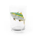 Coshi-Mild-Wildの鰤　(ブリ) Water Glass :front