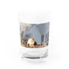 うさぎかもしれないの憎みねこ（やさしい） Water Glass :front