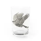 Coshi-Mild-Wildのクマタカ Water Glass :front