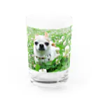 akane_art（茜音工房）のカラフルチワワ（クローバー） Water Glass :front