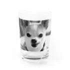 akane_art（茜音工房）のモノクロチワワ（ぺろんちょ） Water Glass :front