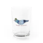 樹 一葉【Tachiki Kazuha】の鳩ミサイル Water Glass :front