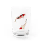 Coshi-Mild-Wildの丹頂&三色_B Water Glass :front