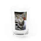 Aiko Nakanoの炊飯器に乗って何が悪いの？ Water Glass :front