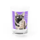 ひげ猫マリオのサビ猫 ムギちゃん Water Glass :front