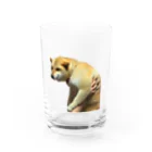 柴犬しばわんこhana873の微妙な表情のもふもふ柴犬しばいぬ Water Glass :front