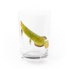 Coshi-Mild-Wildのゴールデンアジアアロワナ Water Glass :front