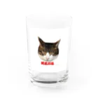 カンちゃんグッズショップのオッサン猫グッズ グラス前面