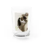 カンちゃんグッズショップのオッサン Water Glass :front