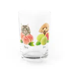 糸葉-Itoha-のMomo&Ume Water Glass :front