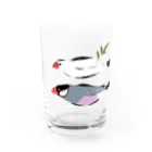 EASEのひもの文鳥 Water Glass :front