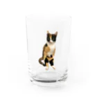 AtelierGluckのみーたん Water Glass :front