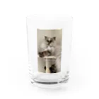 MugisumiのMugisumi Water Glass :front