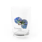 native forest 植物グッズのお店のベゴニアsp.マレーシア サラワク州産（Begonia sp. Sarawak Malaysia） Water Glass :front