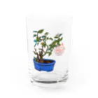 tomidoronの白バラ Water Glass :front