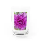 CHOTTOPOINTの【セール期間限定】 Water Glass :front