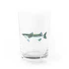 いくら丼のボラ Water Glass :front