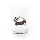 suntanのfofu Water Glass :front