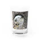 CROWのレースとパール Water Glass :front