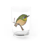 299WORKSのメジロちゃん Water Glass :front