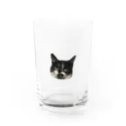 happiness_maiのしかめ面の小豆 Water Glass :front