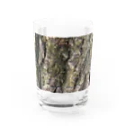 free expressionの歳月を感じる樹木 Water Glass :front