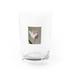 花の文具屋さんのpink tulip グラス前面