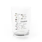 ぺんぎん丸のコリドラス大集合パート3 -Corydoras- グラス前面