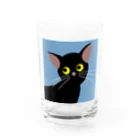 超みちるのブラックキャット Water Glass :front