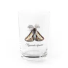 L_arctoaのフチグロトゲエダシャク（学名付き） Water Glass :front