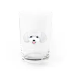 遥ん/犬顔絵　の「保護犬カフェ支援」グッズ プードル Water Glass :front