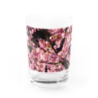 SHOPマニャガハの2021年の桜(№2) Water Glass :front