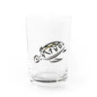 海のサワガニのカメ Water Glass :front