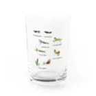 L_arctoaの関東のカマキリ（旧学名・非推奨）（背景透過ver） Water Glass :front