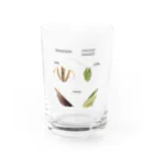 L_arctoaのオオカマキリとチョウセンカマキリ Water Glass :front