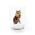 山内さんの子供たちのムサシ Water Glass :front