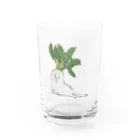 かまだ まゆめのだいこん Water Glass :front