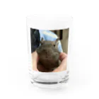 もぐレッダの撫でられデグーのぐりちゃん Water Glass :front