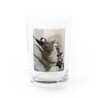 もぐレッダのフードインぐり Water Glass :front