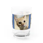 きなこ あずきショップのきなこ ぎん あずき Water Glass :front