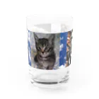 きなこ あずきショップのあずき ぎん きなこ Water Glass :front