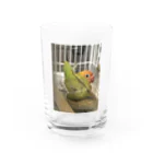 黄色クチバシピヨピヨクラブのボタンインコのポルカ Water Glass :front