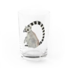 Coshi-Mild-Wildのワオキツネザルだぞっ💕 Water Glass :front