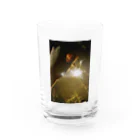 no negative in my lifeの2020の花火 Water Glass :front