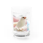 obのなちゅ Water Glass :front