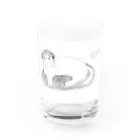 Su1-ka2のスコティッシュフォールド(猫) Water Glass :front